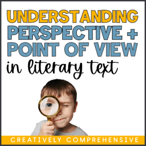 PERSPECTIVE AND POINT OF VIEW (3)