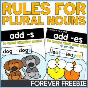 cc-tpt-rules-for-plural-nouns-posters-cover